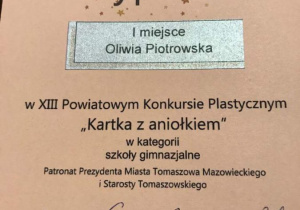 Powiatowy konurs plastyczny
