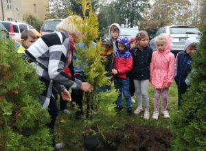 Dzień Drzewa w klasie I a